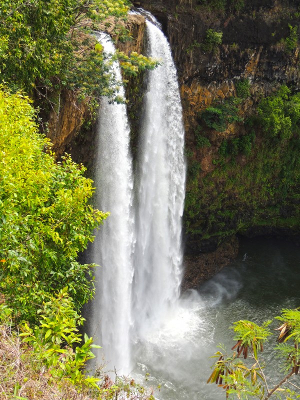 Wild Kauai - 2016 Gallery Artwork of the Year - Portrait-Natural - Waterfall 